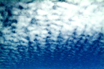 Image Concealment Films - MH Studios